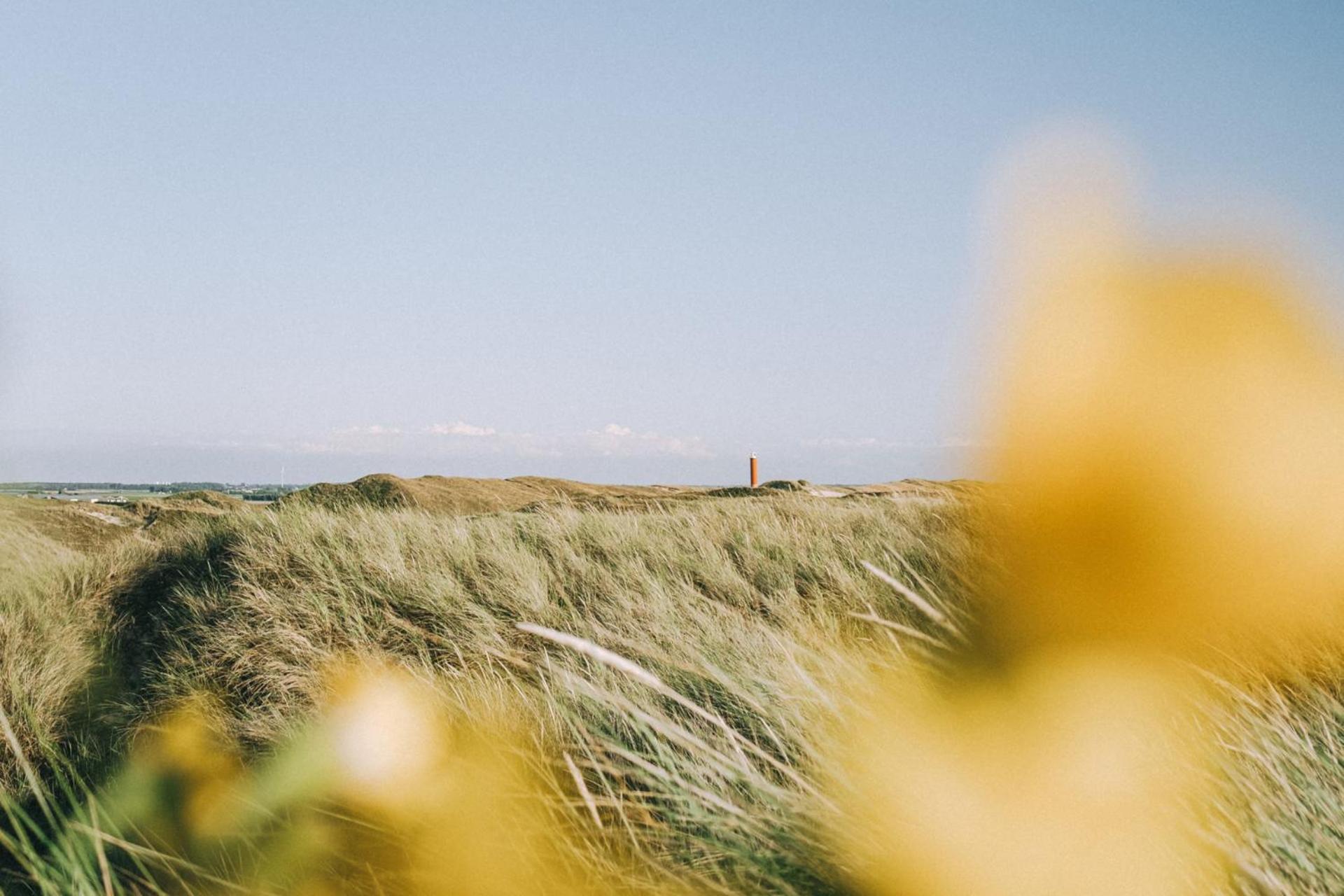 Beach Appartement 17 - Aan De Duinen, Callantsoog Aan Zee Экстерьер фото